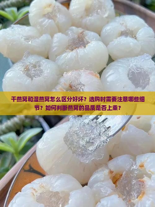 怎么区分干湿燕窝的好坏