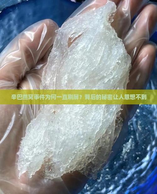 辛巴燕窝为什么热搜不下