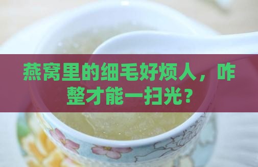 燕窝里的细毛怎么消除