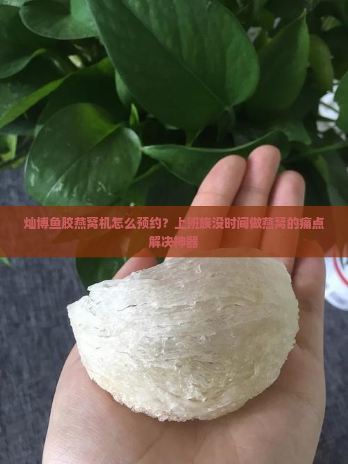 灿博鱼胶燕窝机怎么预约
