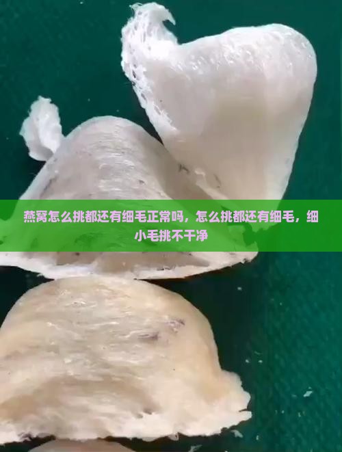 燕窝怎么挑都还有细毛