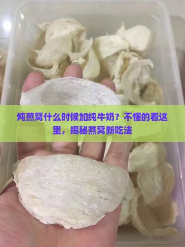 炖燕窝什么时候加纯牛奶