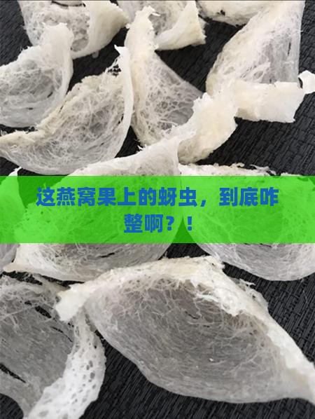 燕窝果有蚜虫怎么办呀