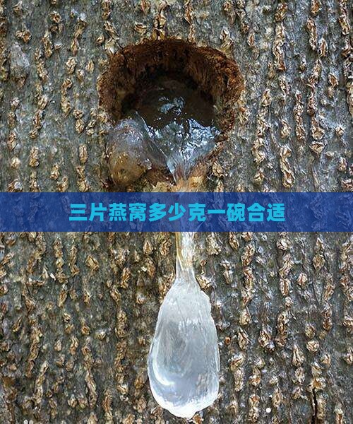 三片燕窝多少克一碗合适