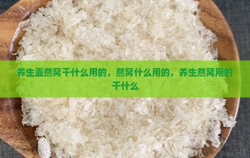 养生壶燕窝干什么用的