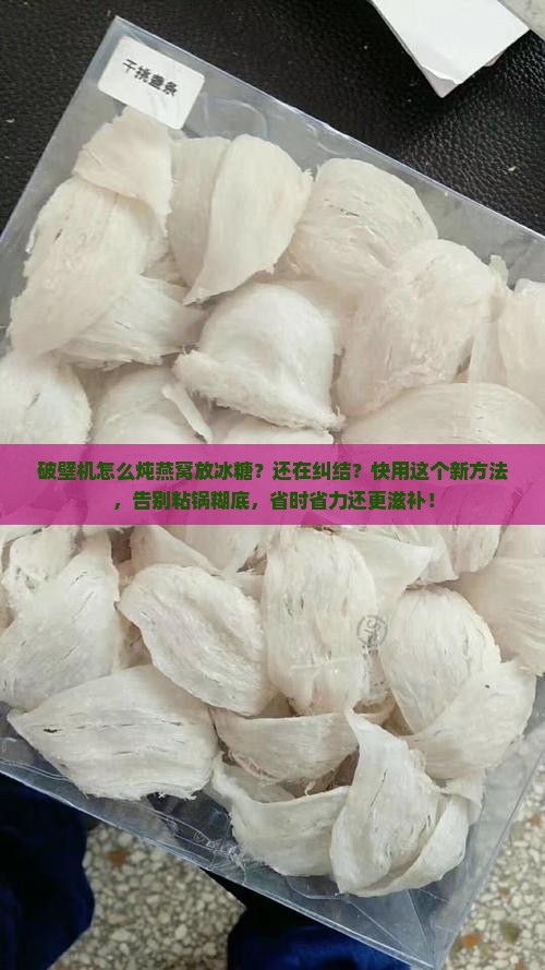 破壁机怎么炖燕窝放冰糖
