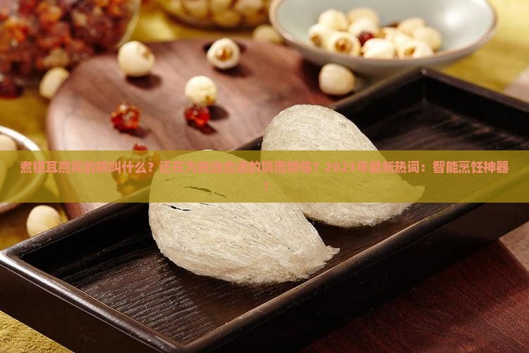 煮银耳燕窝的锅叫什么