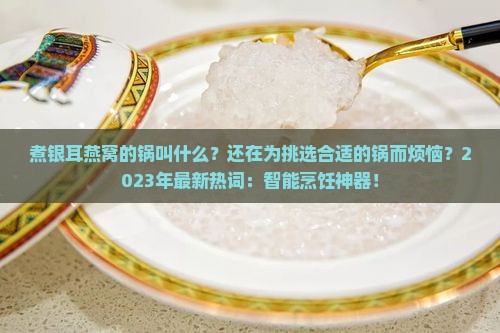 煮银耳燕窝的锅叫什么