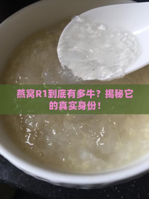 燕窝r1是什么等级排名