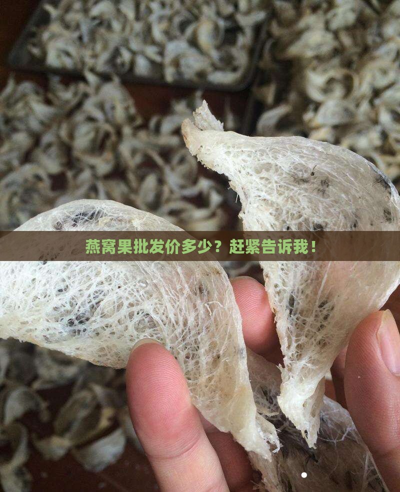 燕窝果的批发价多少钱