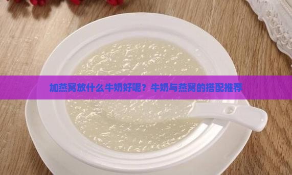 加燕窝放什么牛奶好呢