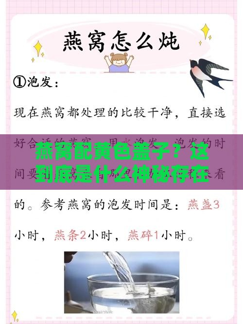 燕窝黄色盖子是什么东西