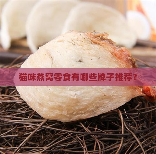 猫咪燕窝零食有哪些牌子