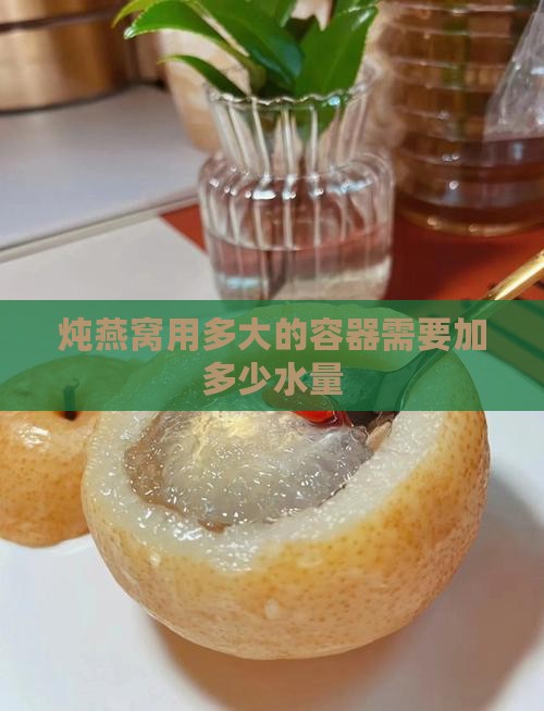 炖燕窝大容器加多少水