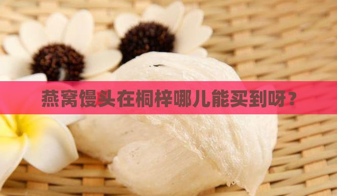 燕窝馒头桐梓哪里有卖