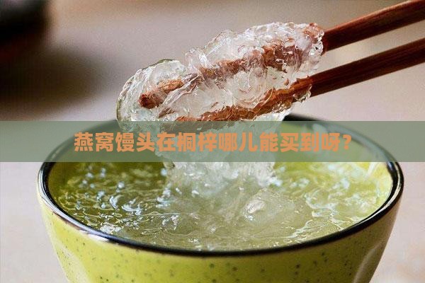 燕窝馒头桐梓哪里有卖