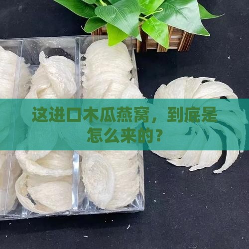 进口木瓜燕窝怎么来的