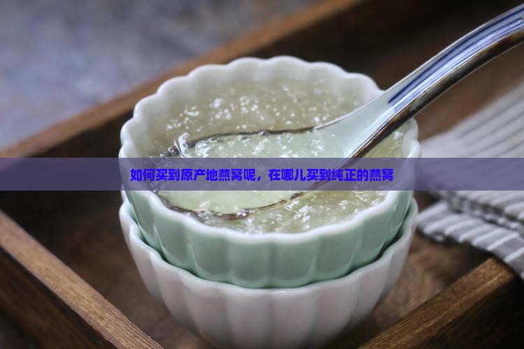 如何买到原产地燕窝呢