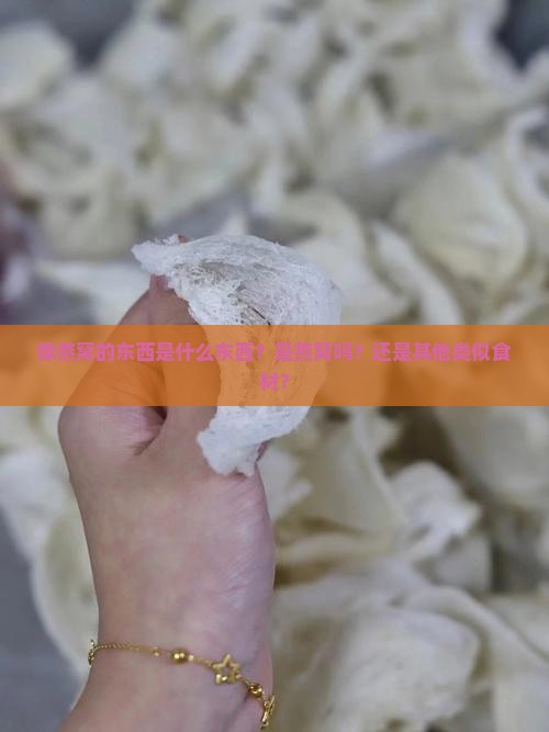 像燕窝的东西是什么东西