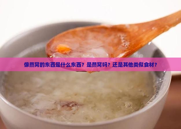 像燕窝的东西是什么东西