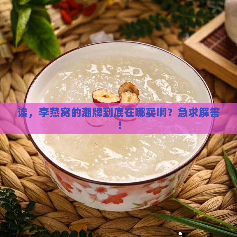 李燕窝的潮牌哪里买的