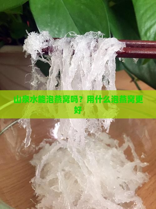 山泉水能泡燕窝吗怎么泡
