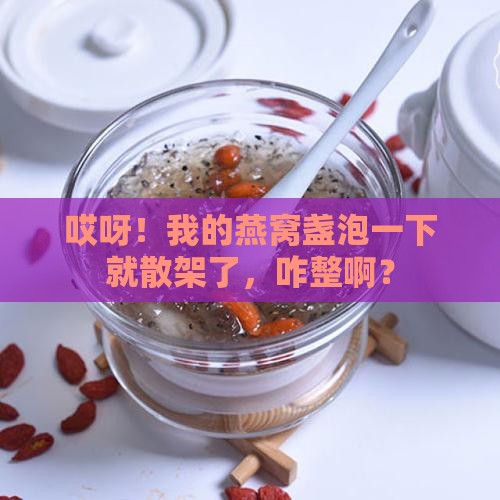 燕窝盏一泡就碎了怎么办