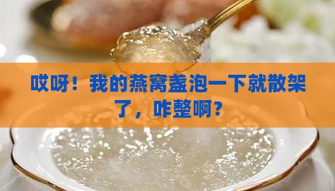 燕窝盏一泡就碎了怎么办
