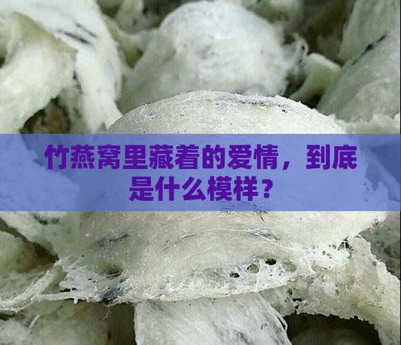竹燕窝什么是爱情浪漫