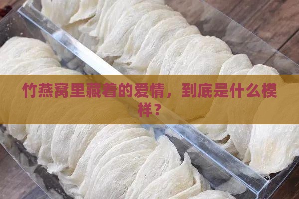竹燕窝什么是爱情浪漫