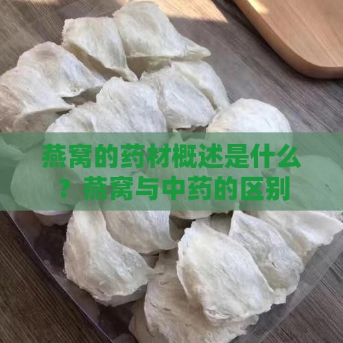 燕窝的药材概述是什么 燕窝的药材概述是什么