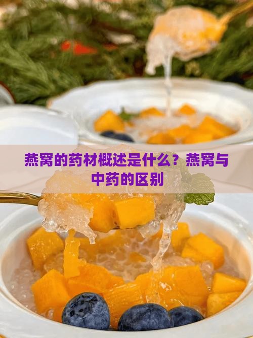 燕窝的药材概述是什么 燕窝的药材概述是什么