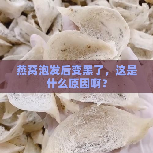 燕窝泡发后黑了怎么办呢 燕窝泡发后黑了怎么办呢