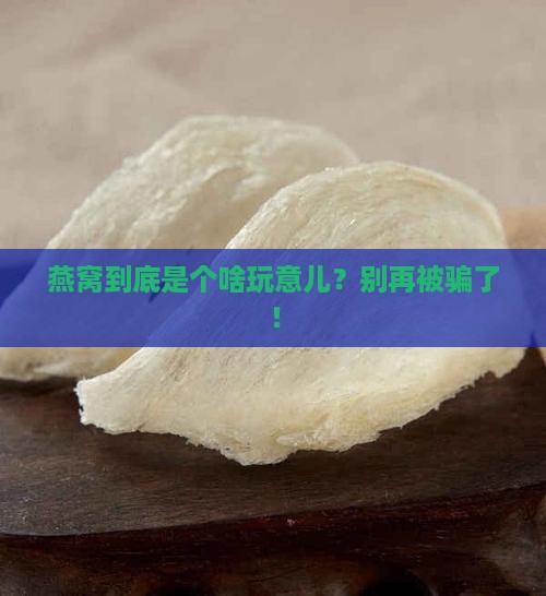 燕窝有可能是什么做的