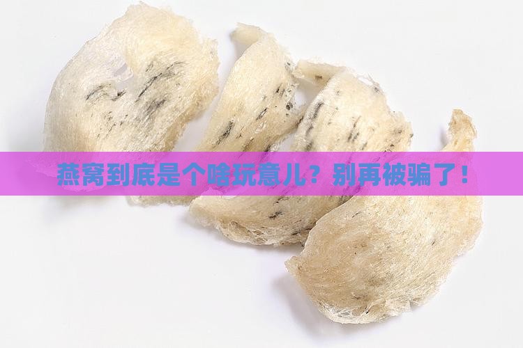 燕窝有可能是什么做的