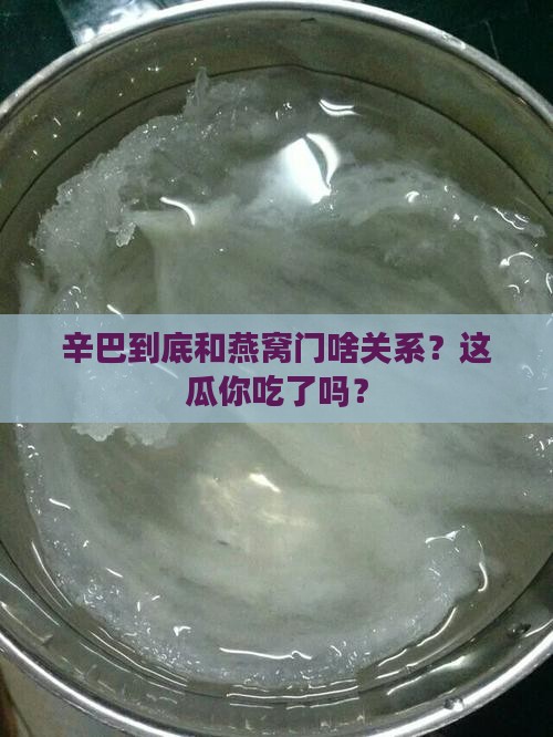 辛巴跟燕窝门什么关系