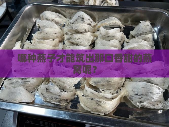 什么燕子才能结燕窝呢