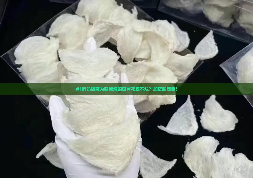 自炖燕窝花胶怎么炖得烂