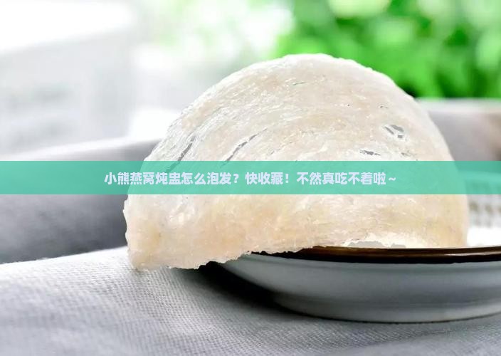 小熊燕窝炖盅怎么泡发
