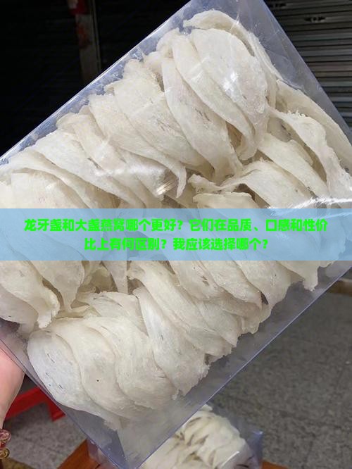 龙牙盏和大盏燕窝哪个好