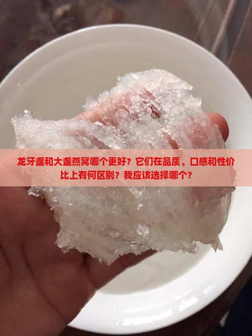 龙牙盏和大盏燕窝哪个好