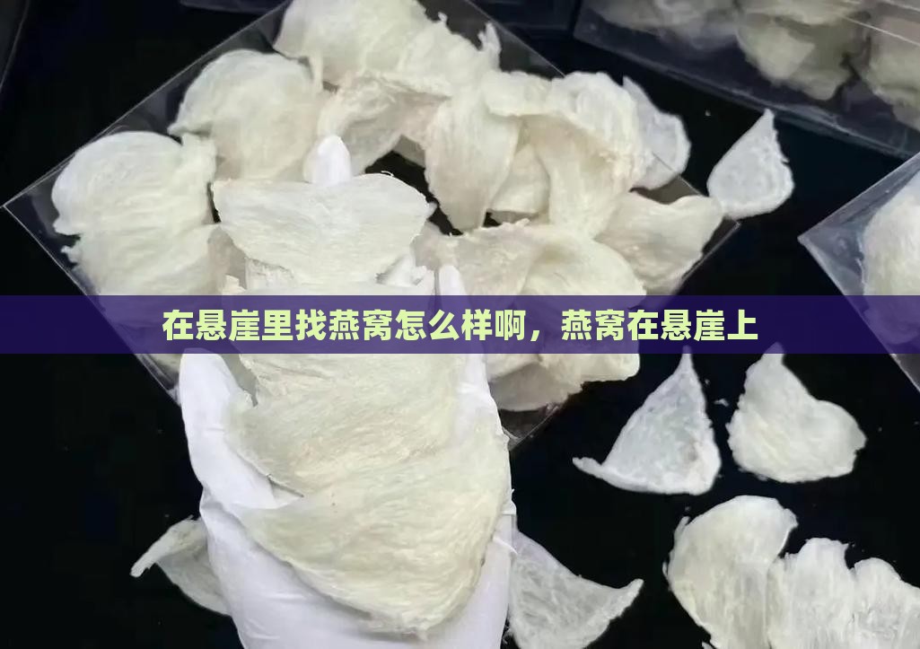 在悬崖里找燕窝怎么样啊 在悬崖里找燕窝怎么样啊