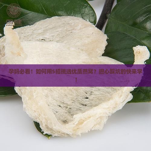 如何选择孕妈燕窝的好坏