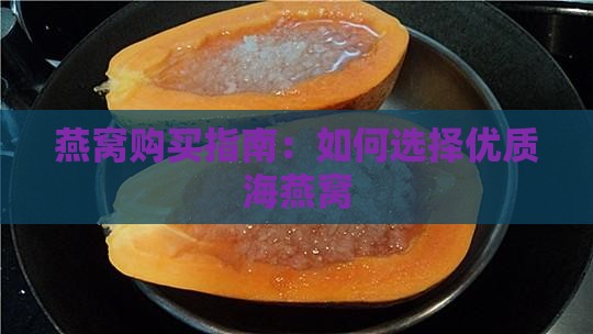 如何购买海燕窝比较好