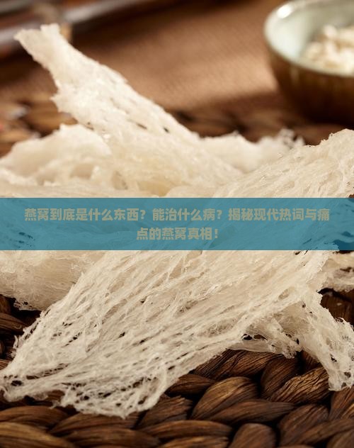 燕窝是什么东西治什么病