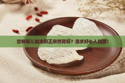 吉林哪个地方有燕窝卖