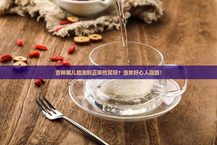 吉林哪个地方有燕窝卖