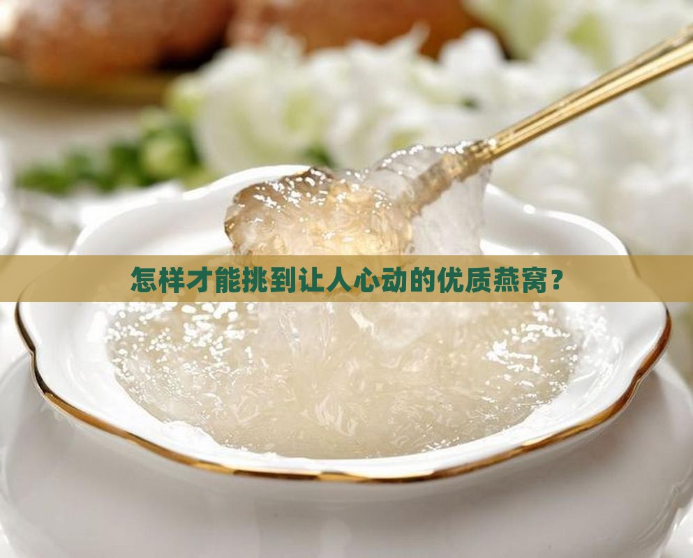 怎么选择燕窝品质好的