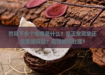 燕窝下长个疙瘩是什么
