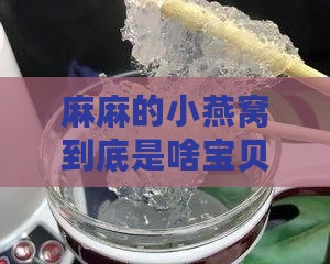 麻麻的小燕窝是什么意思 麻麻的小燕窝是什么意思